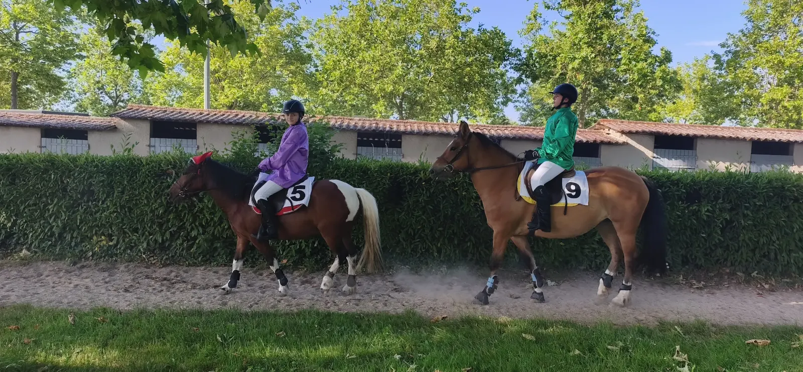Les cavaliers de l’écurie