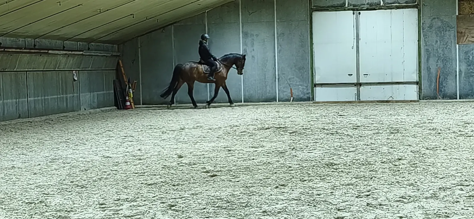 Travail monté au manège