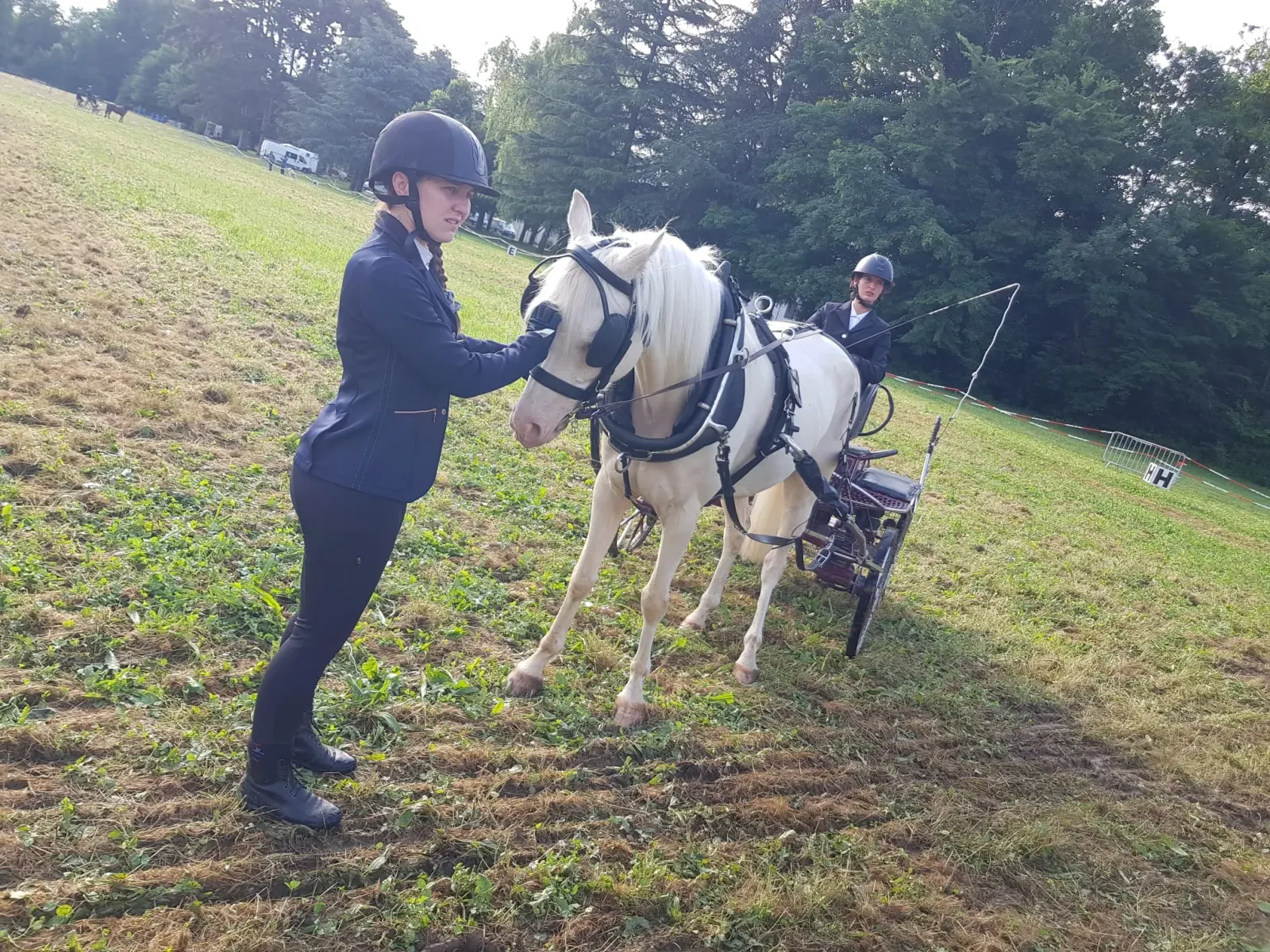 Travail à pied avec un poney